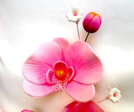 Вырубка стальная Орхидея | Набор 3 шт Вырубка стальная Орхидея | Набор 3 шт