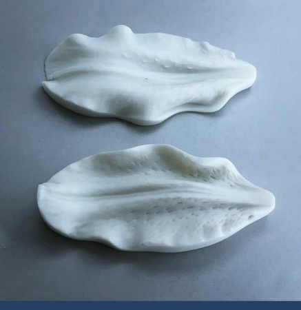 Молд силиконовый (вайнер) лепесток Лилии большой, комплект 2 шт (95•40 мм) fsl-007 Молд силиконовый (вайнер) лепесток Лилии большой, комплект 2 шт (95•40 мм) fsl-007